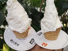 -野人先生Gelato(上海长宁龙之梦店)