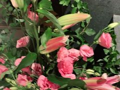 -旺顺阁·北京菜(北辰上品+)