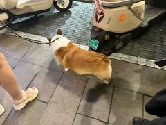 -双东酒店(东关街店)