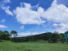 -武陵山森林公园