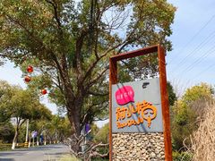-前小桔亲子创意农场·草莓采摘·露营烧烤
