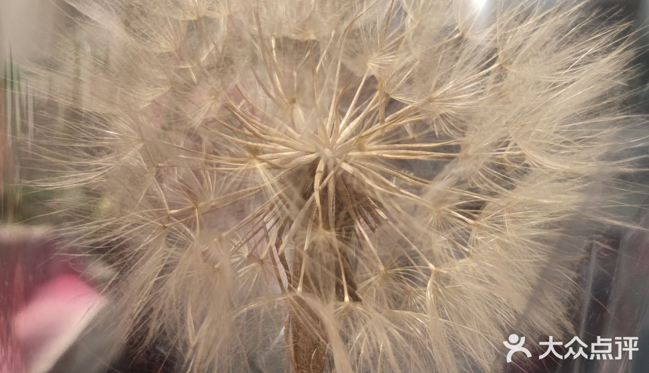 每个月的最后1小时