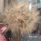 每个月的最后1小时