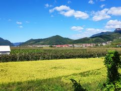 -五女山景区