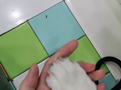 -瑞鹏宠物医院·微创内窥镜·骨外科·牙科(翠竹分院)