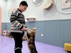 -1013 PET SHOP 宠物商店(近铁城市广场店)