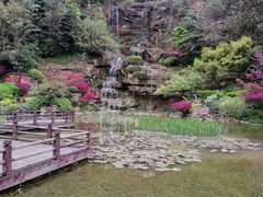 -铁山坪森林公园