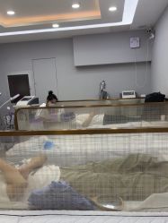 -悟空祛痘·诺奖技术专业店