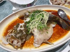 清蒸笋壳鱼-花城苑广府菜(侨鑫店)