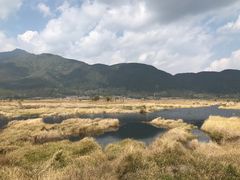 -腾冲北海湿地