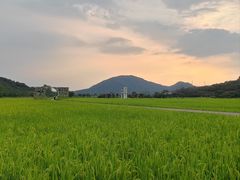 -艾米稻香小镇