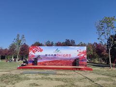 -北京西山国家森林公园