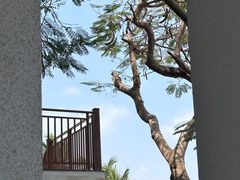 -三亚西岛海洋文化旅游区