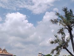 -苏州湾梦幻水世界