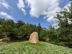 -广州白江湖森林公园