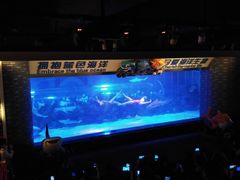 -成都浩海立方海洋公园