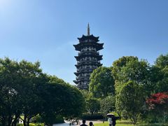-洋湖国家湿地公园