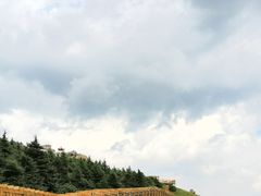 -白草畔自然风景区