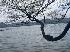 -湖畔居茶楼(湖滨店)