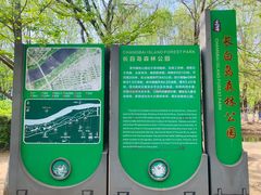 -长白岛森林公园