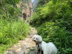 -龙门涧景区