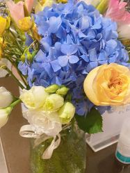 -Oasis Beauty水磨坊科技美肤中心