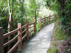 -南海湾森林生态园