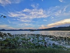 -湖畔居茶楼(湖滨店)