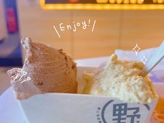 -野人牧坊Gelato(天津南开大悦城店)
