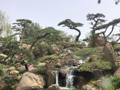 -罗红摄影艺术馆