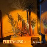 据说这家泰式spa有点东西💆‍♂️💆‍♂️