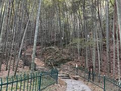 -虎跑公园