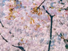 -静安雕塑公园