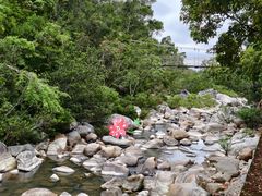 -海南热带雨林国家公园吊罗山景区