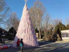 -南宫五洲植物乐园