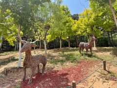 -北京西山国家森林公园