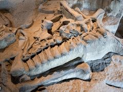 -自贡恐龙博物馆