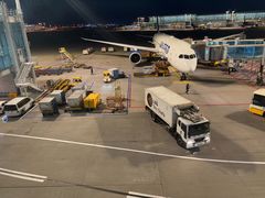 -乐天免税店(仁川国际机场店)