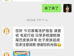 -BABIT巴比特宠物(MOMOPARK店)