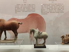 -衢州市博物馆