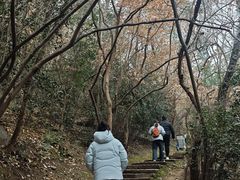 -采石矶景区