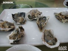 海蛎子-海岛渔村大酒店(云霄路店)