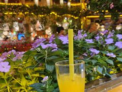 -民食香·腊排骨野生菌美食(木府店)