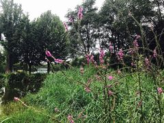 -北京宽沟会议中心