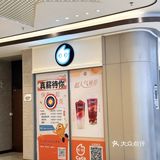 芋泥脑袋就是我