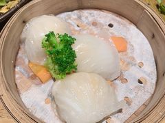 虾饺皇-潮粥荟·潮汕砂锅粥(朝阳大悦城店)