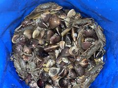 -富哥大排档(防城港企沙镇店)