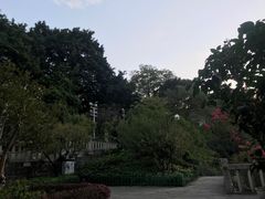 -乌山风景区