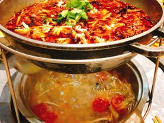 -重庆乌鱼庄·龙滋鲜(青羊大道店)