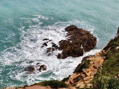 -杨梅坑